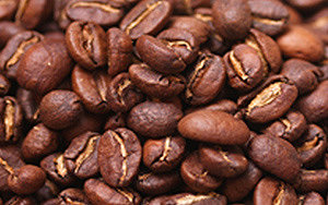 Лучшие сорта эфиопского кофе: посадка и уход