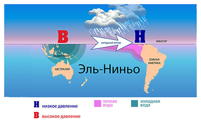 Из-за Эль-Ниньо значительно подорожает кофе