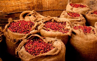 кофе Эфиопия Сидадо