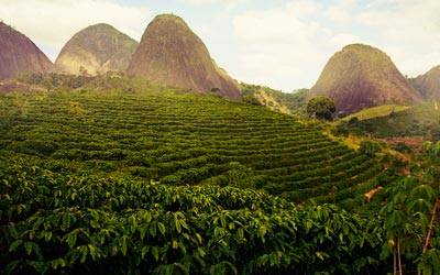 кофе Бразилия Можиана