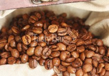 Кофе в зернах ароматизированный "Лесной орех"